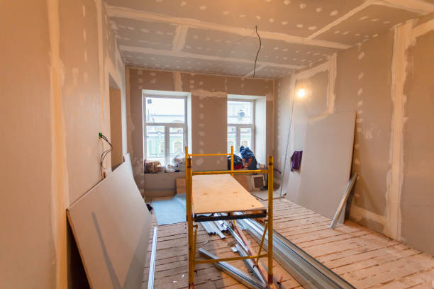 Best Drywall Repair  in Madison, IL